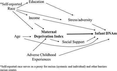 Associations Between Maternal Community Deprivation and Infant DNA Methylation of the SLC6A4 Gene